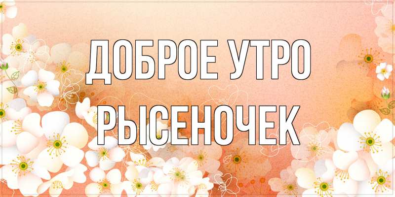 Картинка Доброе утро, Рысеночек