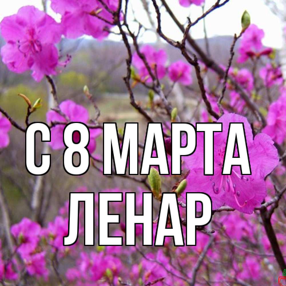 Открытка на каждый день с именем, Ленар C 8 МАРТА международный женский день Прикольная открытка с пожеланием онлайн скачать бесплатно 