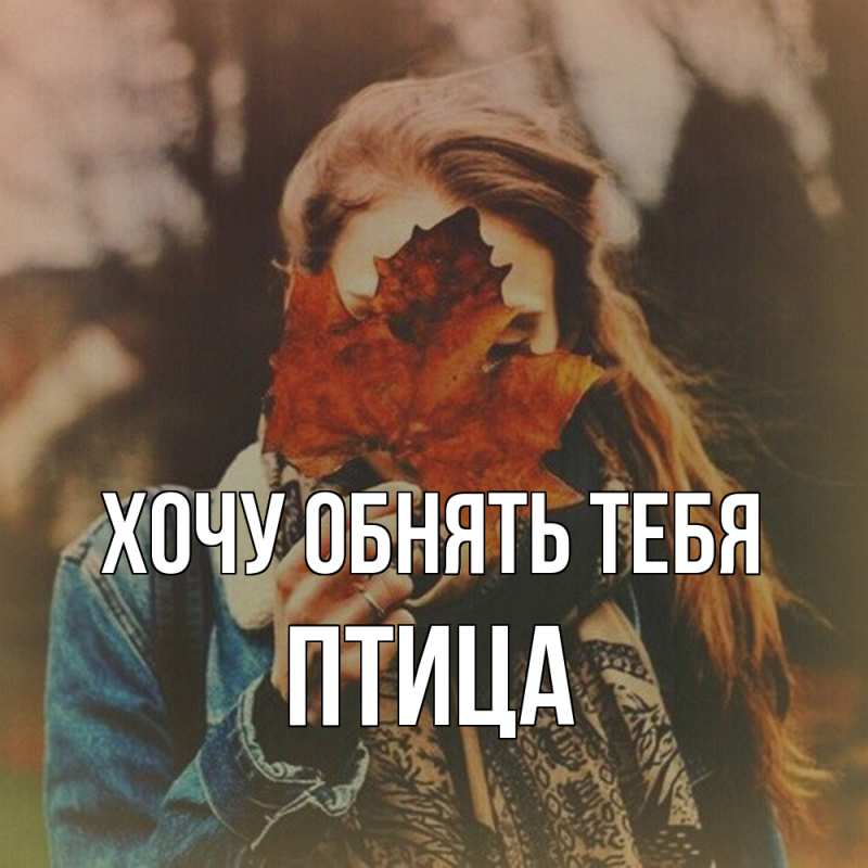 Картинка Хочу обнять тебя, Птица