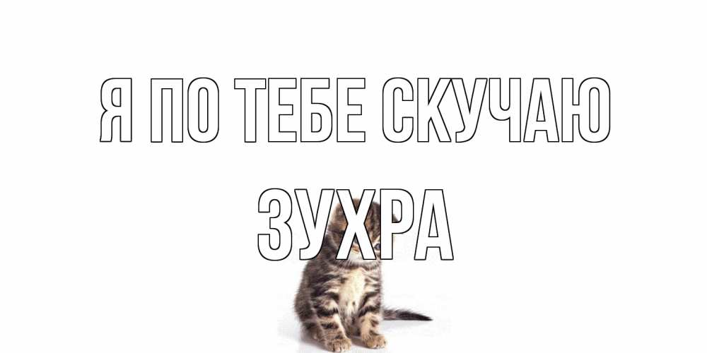 Открытка на каждый день с именем, Зухра Я по тебе скучаю кот Прикольная открытка с пожеланием онлайн скачать бесплатно 