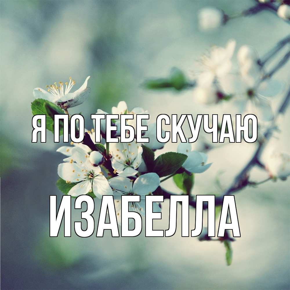 Открытка на каждый день с именем, Изабелла Я по тебе скучаю весна Прикольная открытка с пожеланием онлайн скачать бесплатно 