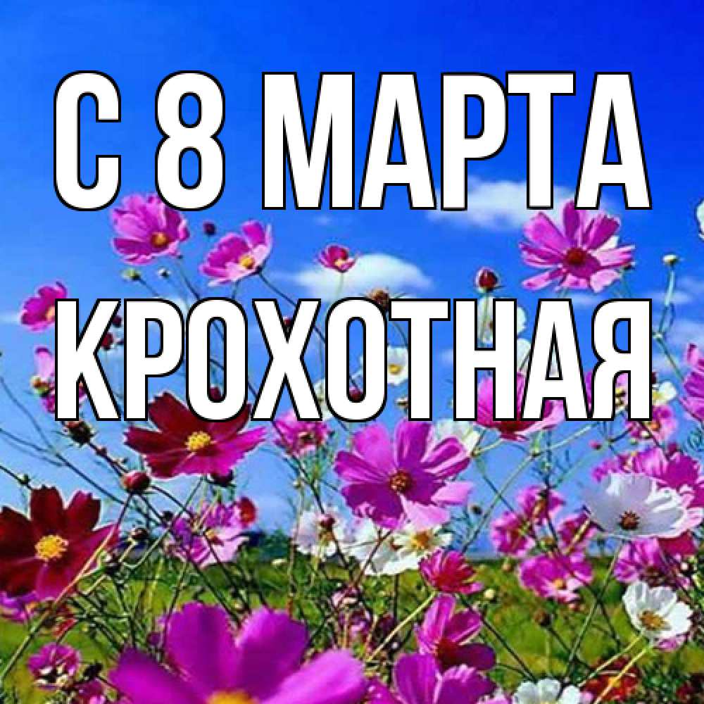 Открытка на каждый день с именем, Крохотная C 8 МАРТА цветы Прикольная открытка с пожеланием онлайн скачать бесплатно 
