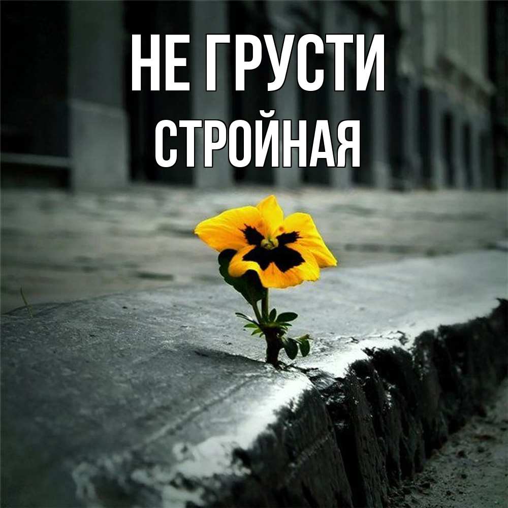 Открытка на каждый день с именем, Стpойная Не грусти не сдавайся Прикольная открытка с пожеланием онлайн скачать бесплатно 