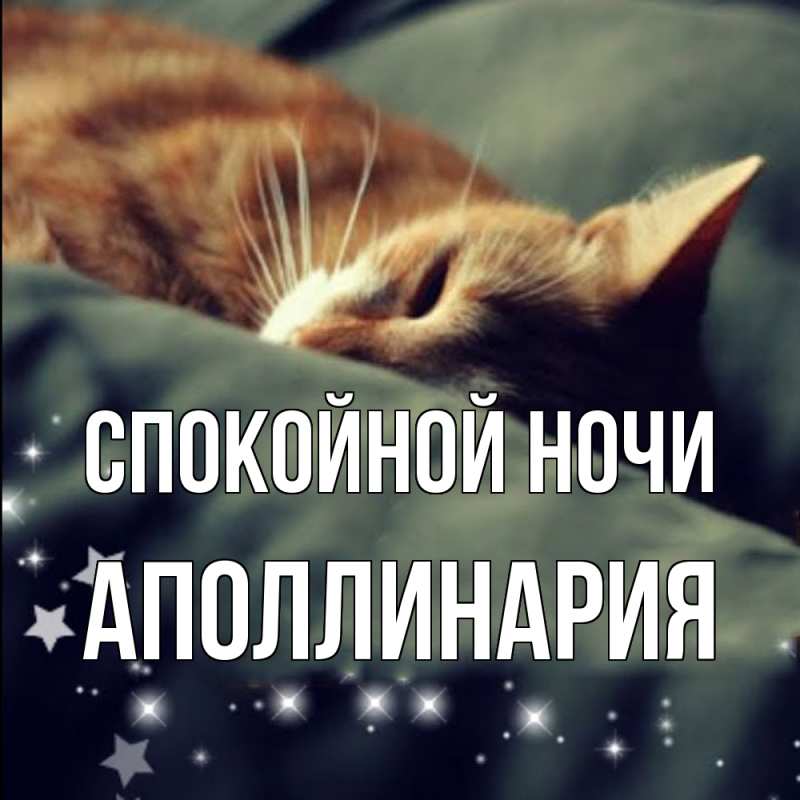 Картинка Спокойной ночи, Аполлинария