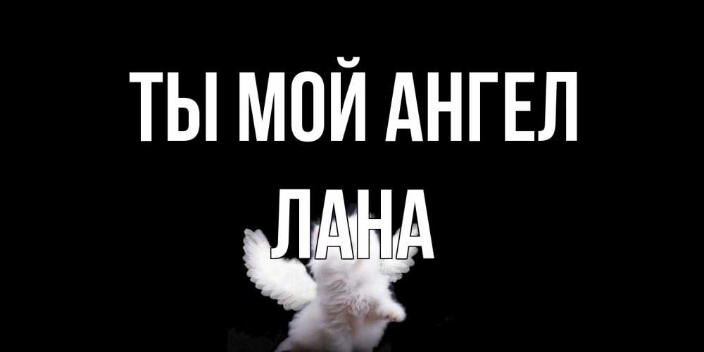 Открытка на каждый день с именем, Лана Ты мой ангел Кот ангел Прикольная открытка с пожеланием онлайн скачать бесплатно 