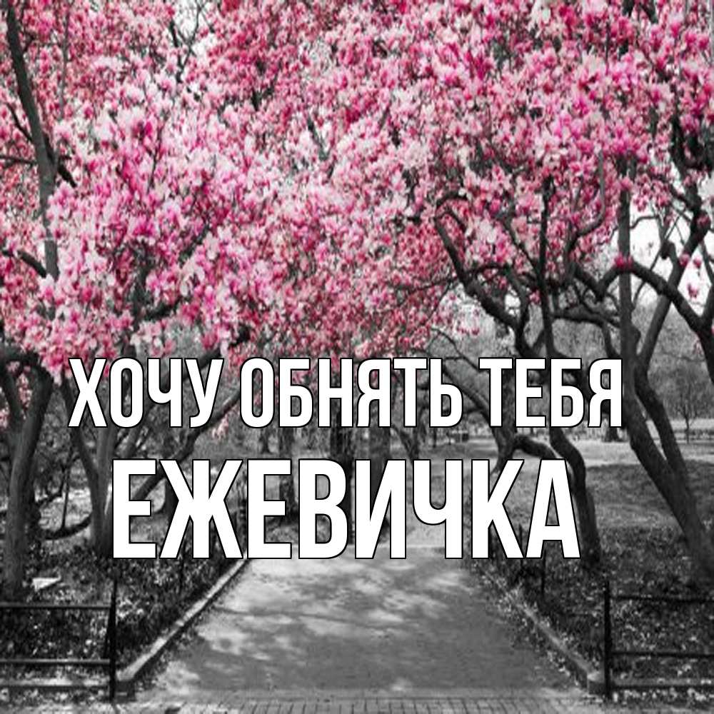 Открытка на каждый день с именем, ежевичка Хочу обнять тебя обработанное фото Прикольная открытка с пожеланием онлайн скачать бесплатно 