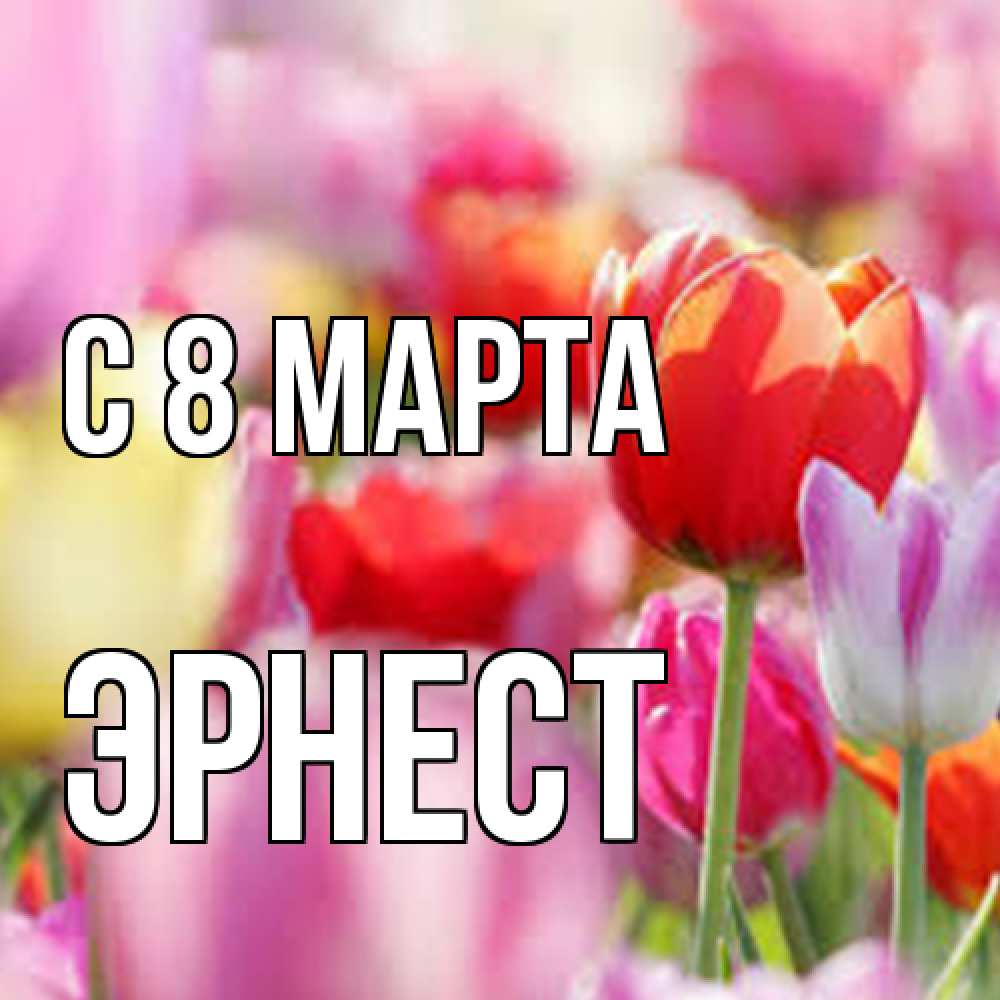 Открытка на каждый день с именем, Эрнест C 8 МАРТА на международный женский день 2 Прикольная открытка с пожеланием онлайн скачать бесплатно 