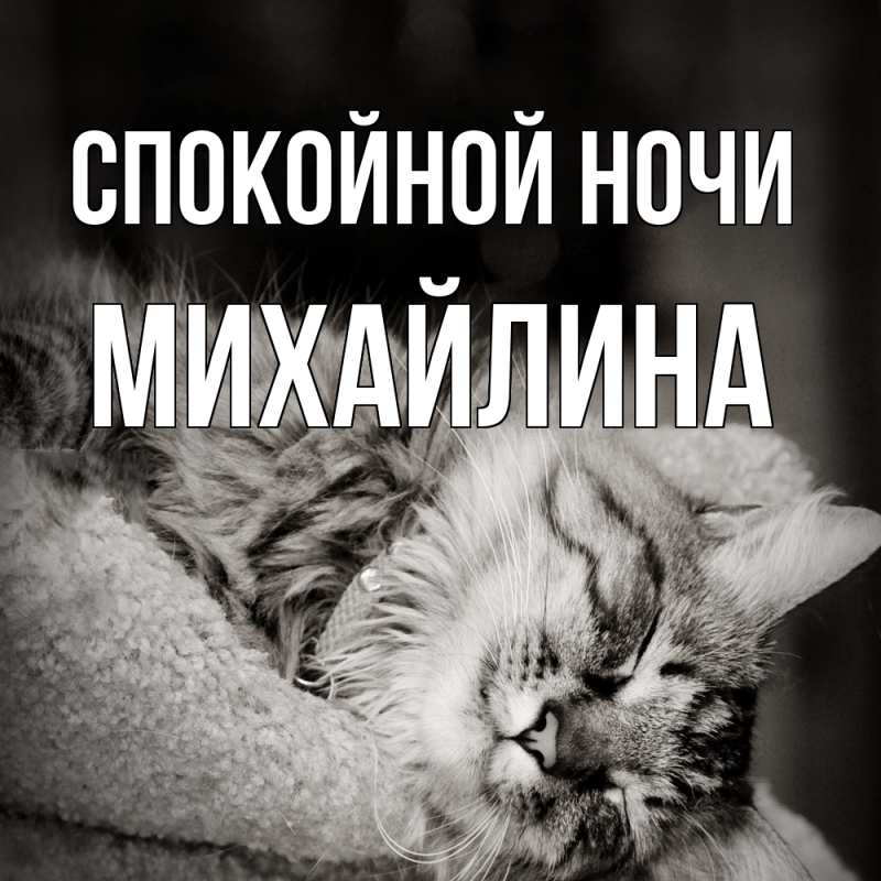 Картинка Спокойной ночи, Михайлина