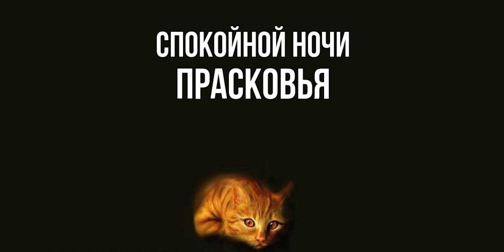 Открытка на каждый день с именем, Прасковья Спокойной ночи кот Прикольная открытка с пожеланием онлайн скачать бесплатно 