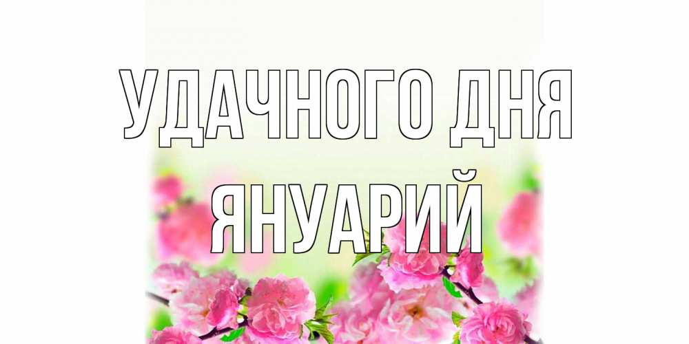 Открытка на каждый день с именем, Януарий Удачного дня цветы Прикольная открытка с пожеланием онлайн скачать бесплатно 