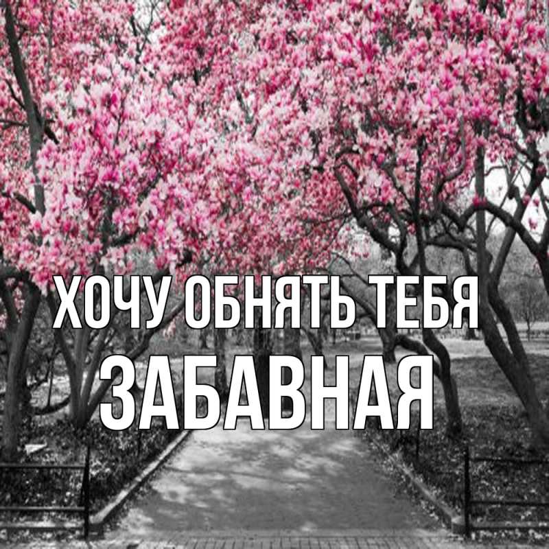 Картинка Хочу обнять тебя, забавная