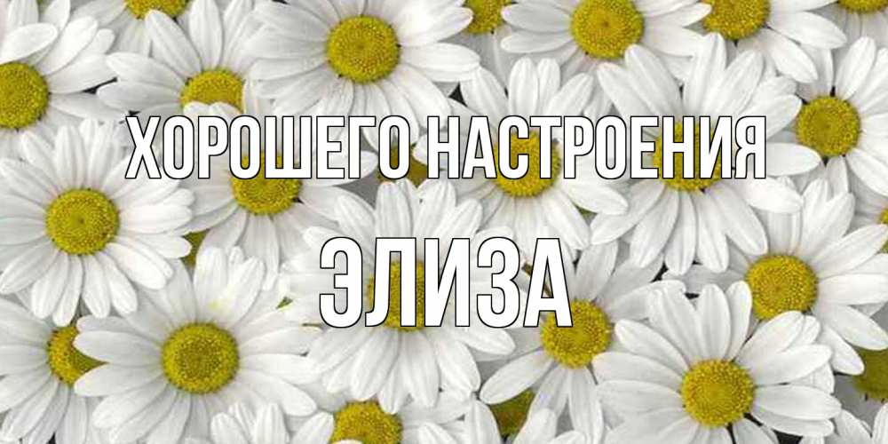 Открытка на каждый день с именем, Элиза Хорошего настроения поляна ромашек Прикольная открытка с пожеланием онлайн скачать бесплатно 