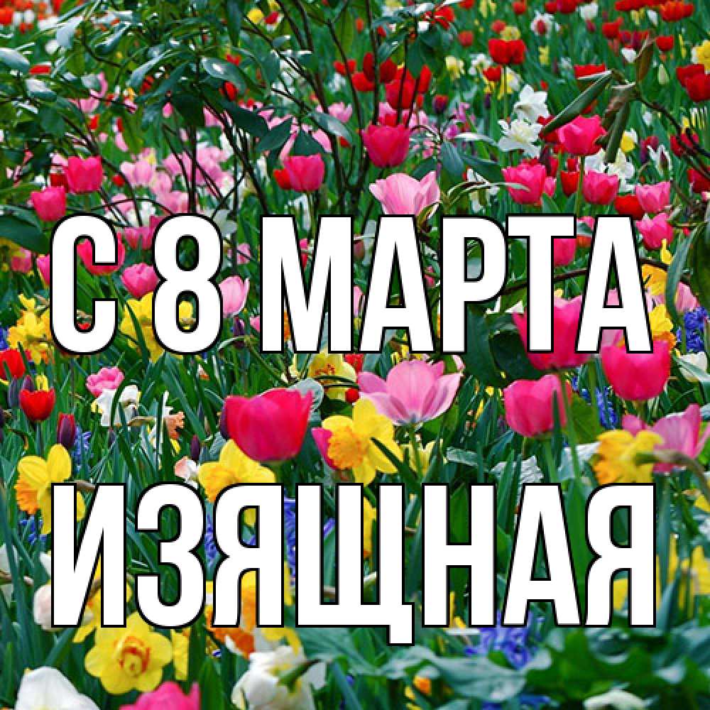 Открытка на каждый день с именем, Изящная C 8 МАРТА с международным женским днем поздравления для женщины Прикольная открытка с пожеланием онлайн скачать бесплатно 