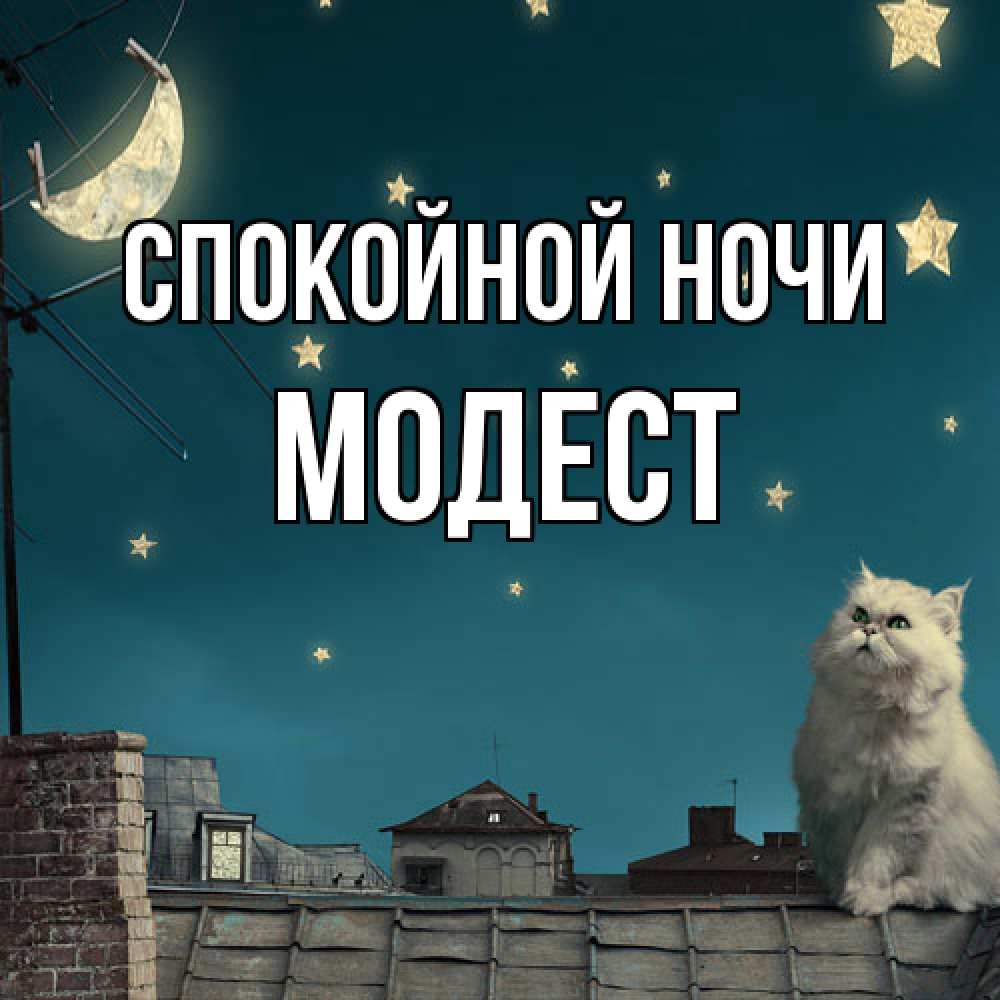 Открытка на каждый день с именем, Модест Спокойной ночи белый кот сидит на крыше Прикольная открытка с пожеланием онлайн скачать бесплатно 