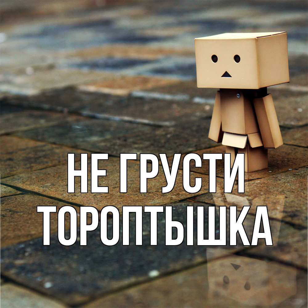 Открытка на каждый день с именем, Тороптышка Не грусти Стив Прикольная открытка с пожеланием онлайн скачать бесплатно 