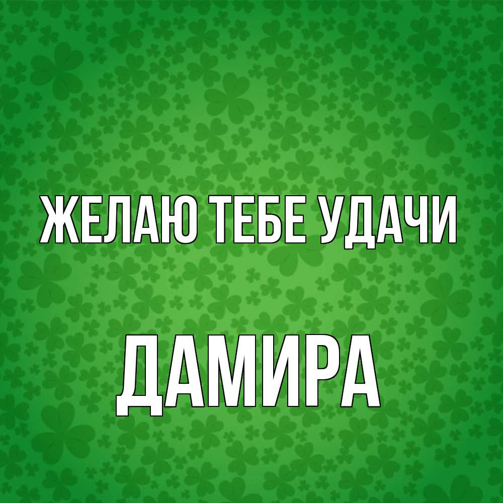 Открытка на каждый день с именем, Дамира Желаю тебе удачи много листочков на удачу Прикольная открытка с пожеланием онлайн скачать бесплатно 