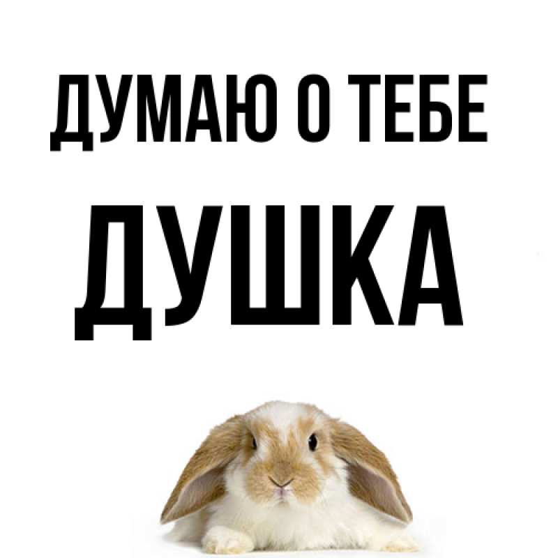 Картинка Думаю о тебе, Душка