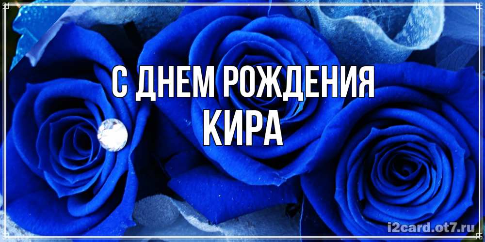 Открытка на каждый день с именем, Кира С днем рождения синие розы в росе Прикольная открытка с пожеланием онлайн скачать бесплатно 