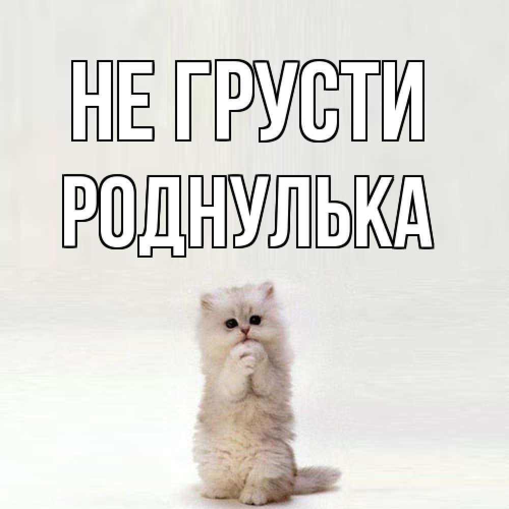 Открытка на каждый день с именем, Роднулька Не грусти грустный кот Прикольная открытка с пожеланием онлайн скачать бесплатно 