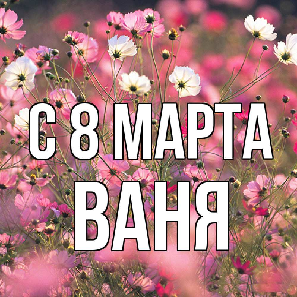 Открытка на каждый день с именем, Ваня C 8 МАРТА красиво 1 Прикольная открытка с пожеланием онлайн скачать бесплатно 