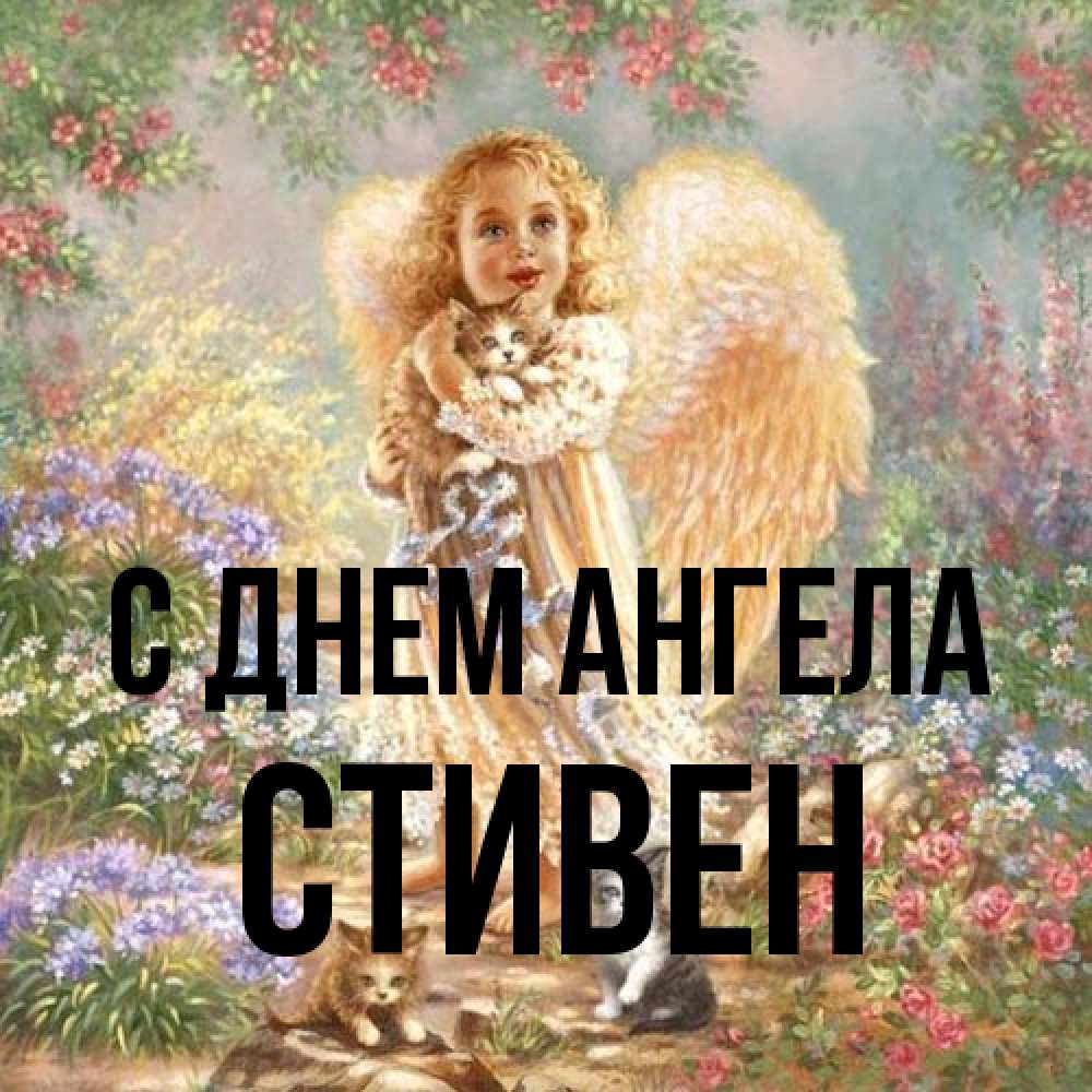 Открытка на каждый день с именем, Стивен С днем ангела держит котенка Прикольная открытка с пожеланием онлайн скачать бесплатно 
