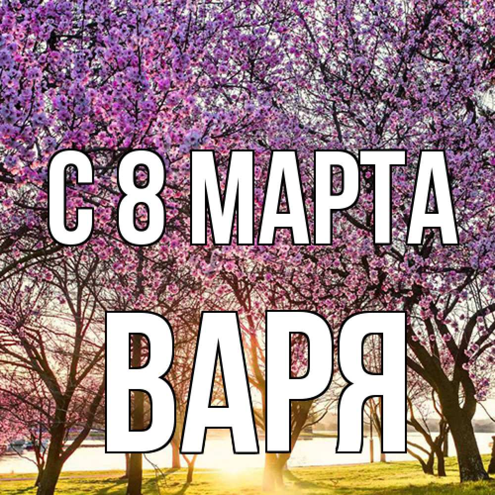Открытка на каждый день с именем, Варя C 8 МАРТА международный женский день Прикольная открытка с пожеланием онлайн скачать бесплатно 