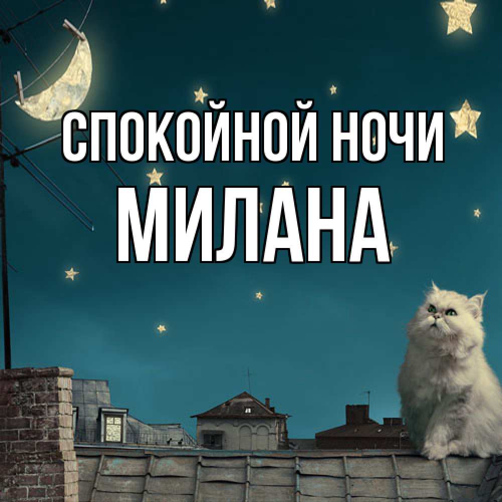 Открытка на каждый день с именем, Милана Спокойной ночи белый кот сидит на крыше Прикольная открытка с пожеланием онлайн скачать бесплатно 