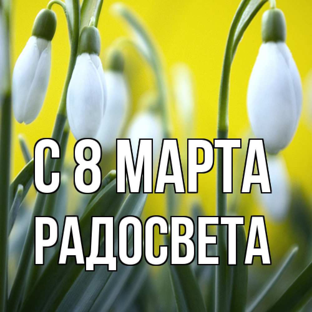Открытка на каждый день с именем, Радосвета C 8 МАРТА весенние цветы Прикольная открытка с пожеланием онлайн скачать бесплатно 