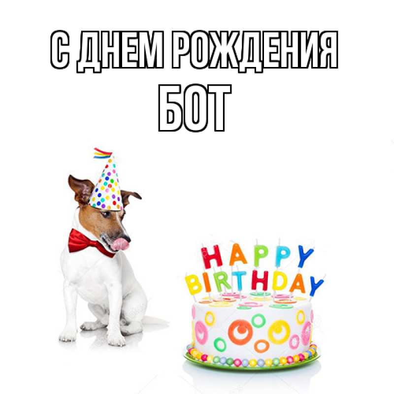 Картинка С днем рождения, Бот
