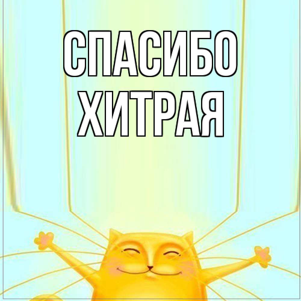Открытка на каждый день с именем, хитрая Спасибо кот с усами благодарит Прикольная открытка с пожеланием онлайн скачать бесплатно 