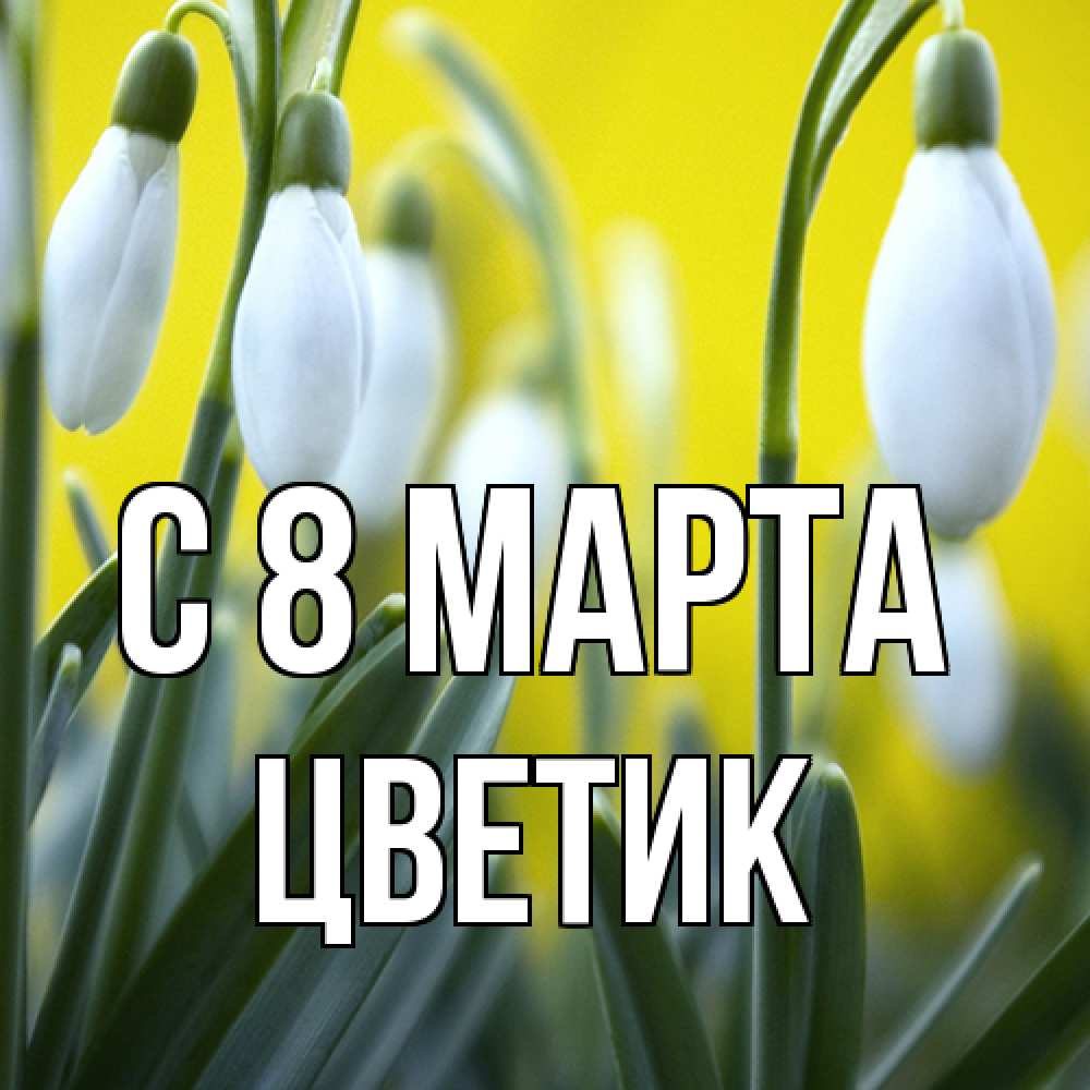 Открытка на каждый день с именем, цветик C 8 МАРТА весенние цветы Прикольная открытка с пожеланием онлайн скачать бесплатно 
