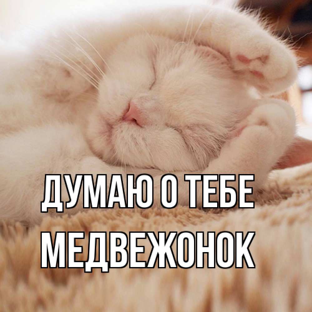 Открытка на каждый день с именем, медвежонок Думаю о тебе для любимой девушки милота Прикольная открытка с пожеланием онлайн скачать бесплатно 