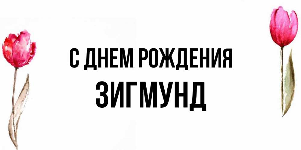 Открытка на каждый день с именем, Зигмунд С днем рождения открытки акварелью с цветами Прикольная открытка с пожеланием онлайн скачать бесплатно 