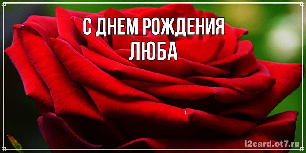 Открытка на каждый день с именем, Люба С днем рождения розочка очень красивая Прикольная открытка с пожеланием онлайн скачать бесплатно 