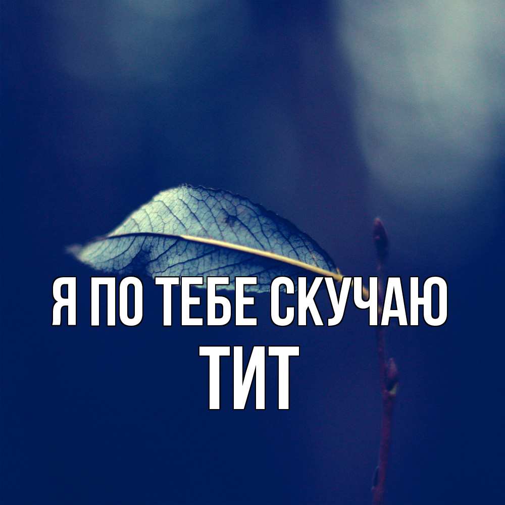 Открытка на каждый день с именем, Тит Я по тебе скучаю одна ветка 1 Прикольная открытка с пожеланием онлайн скачать бесплатно 