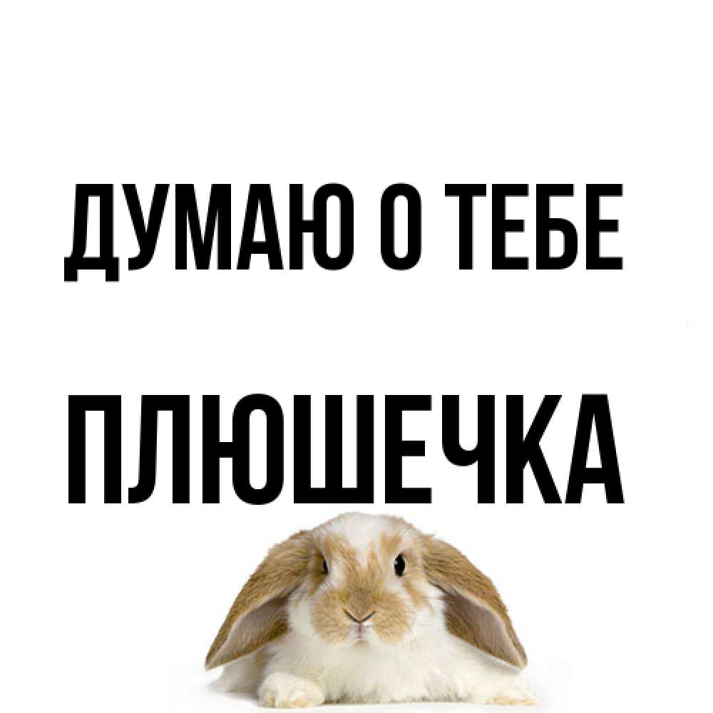 Открытка на каждый день с именем, Плюшечка Думаю о тебе подписать своими руками онлайн Прикольная открытка с пожеланием онлайн скачать бесплатно 