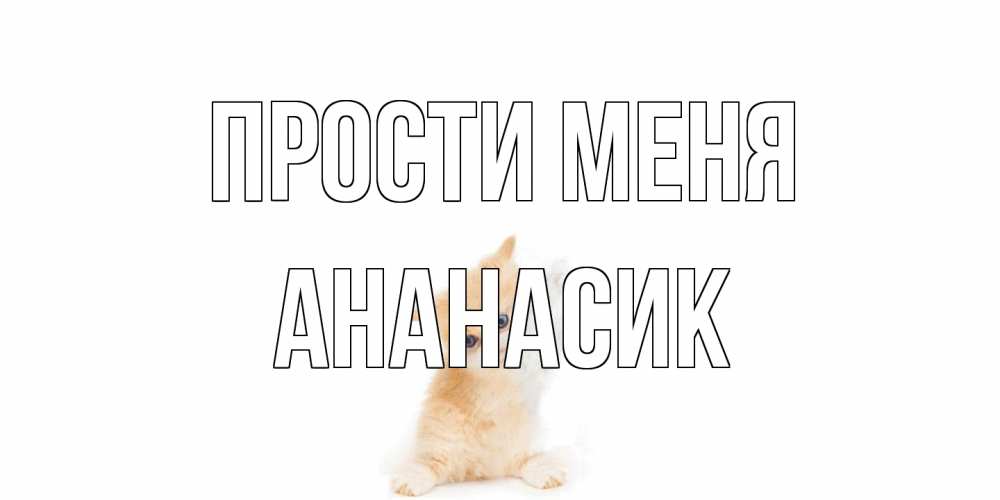 Открытка на каждый день с именем, ананасик Прости меня кот Прикольная открытка с пожеланием онлайн скачать бесплатно 