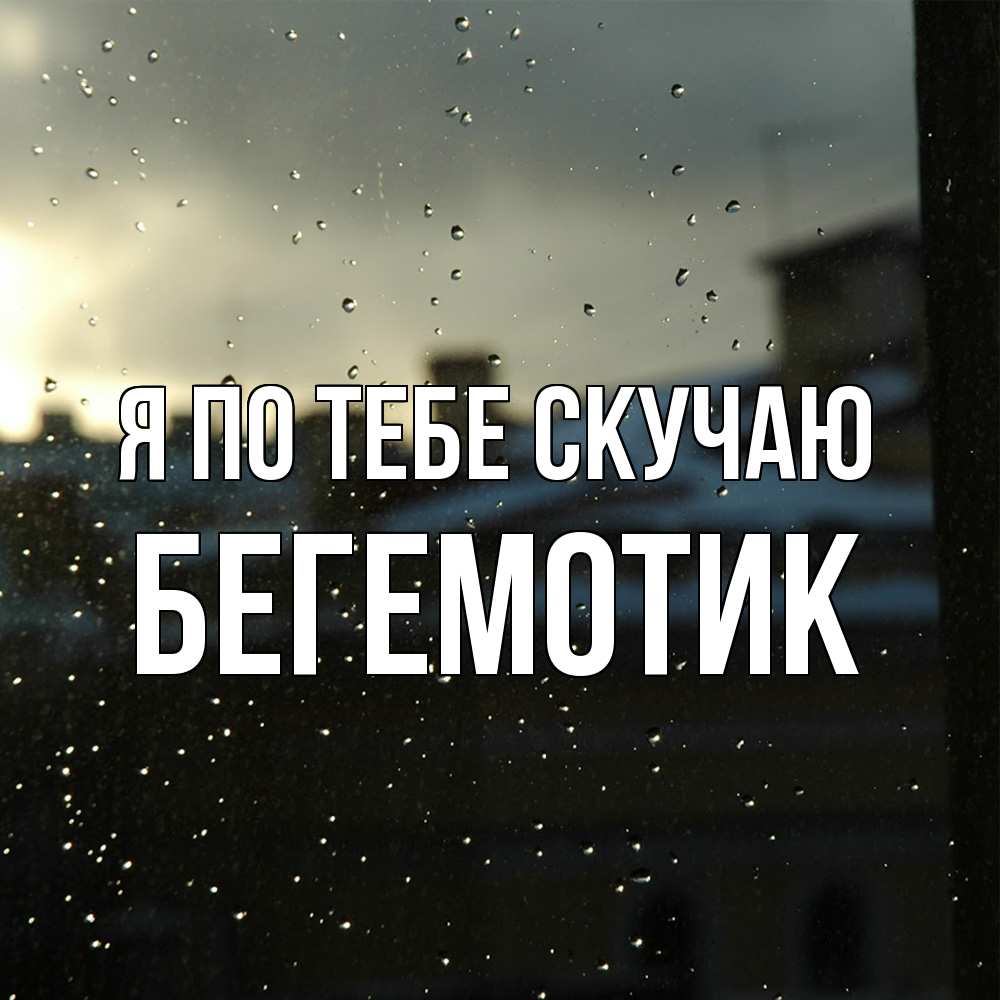 Открытка на каждый день с именем, Бегемотик Я по тебе скучаю капли на стекле Прикольная открытка с пожеланием онлайн скачать бесплатно 