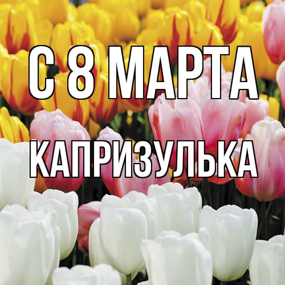 Открытка на каждый день с именем, капризулька C 8 МАРТА разноцветные цветы Прикольная открытка с пожеланием онлайн скачать бесплатно 