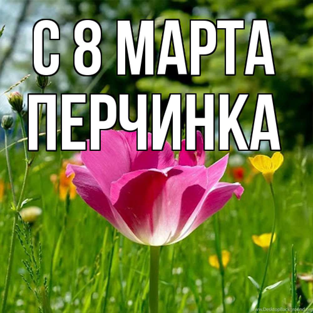 Открытка на каждый день с именем, Перчинка C 8 МАРТА полевые цветы Прикольная открытка с пожеланием онлайн скачать бесплатно 
