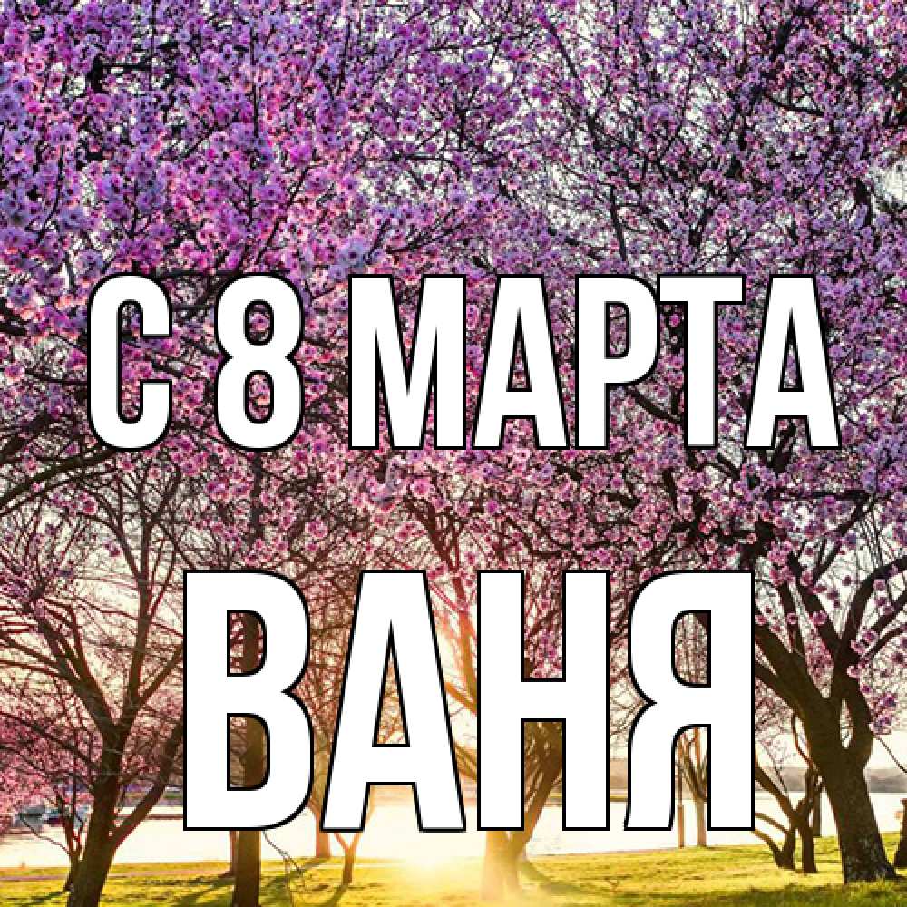 Открытка на каждый день с именем, Ваня C 8 МАРТА международный женский день Прикольная открытка с пожеланием онлайн скачать бесплатно 