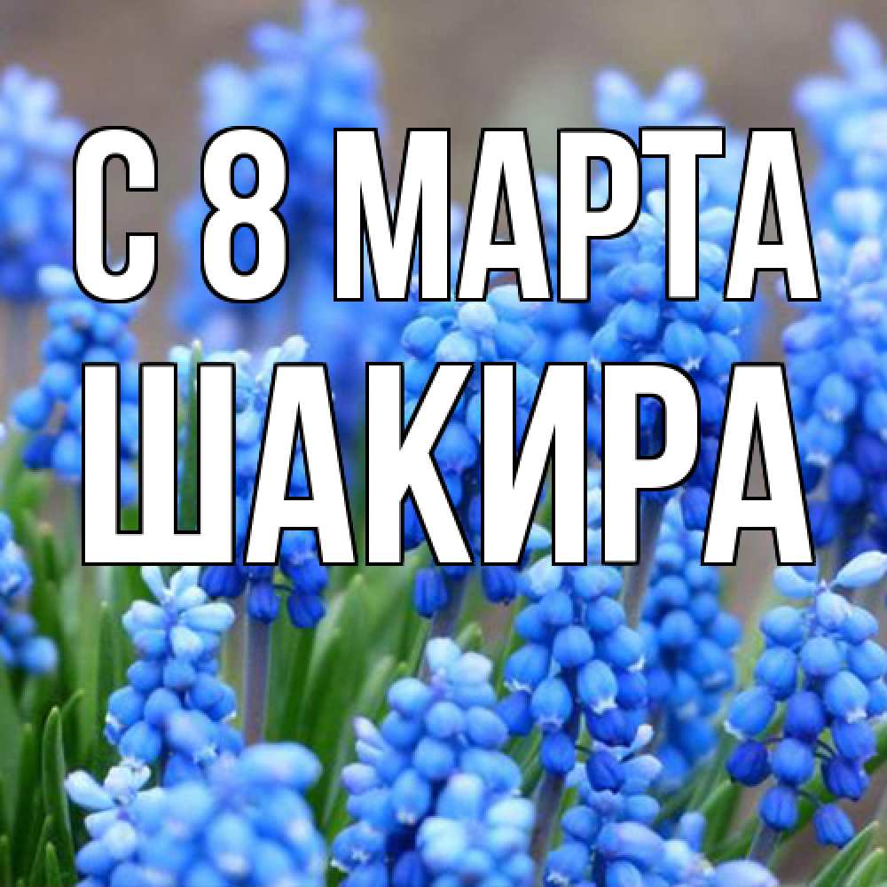 Открытка на каждый день с именем, Шакира C 8 МАРТА Поздравительная открытка для женщин с цветами на праздничную дату Прикольная открытка с пожеланием онлайн скачать бесплатно 