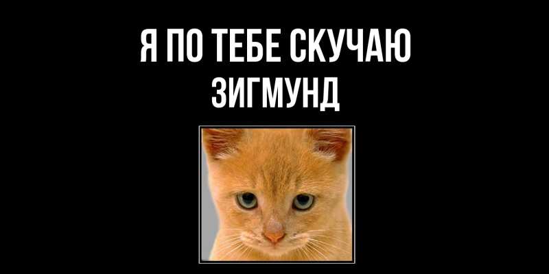 Картинка Я по тебе скучаю, Зигмунд