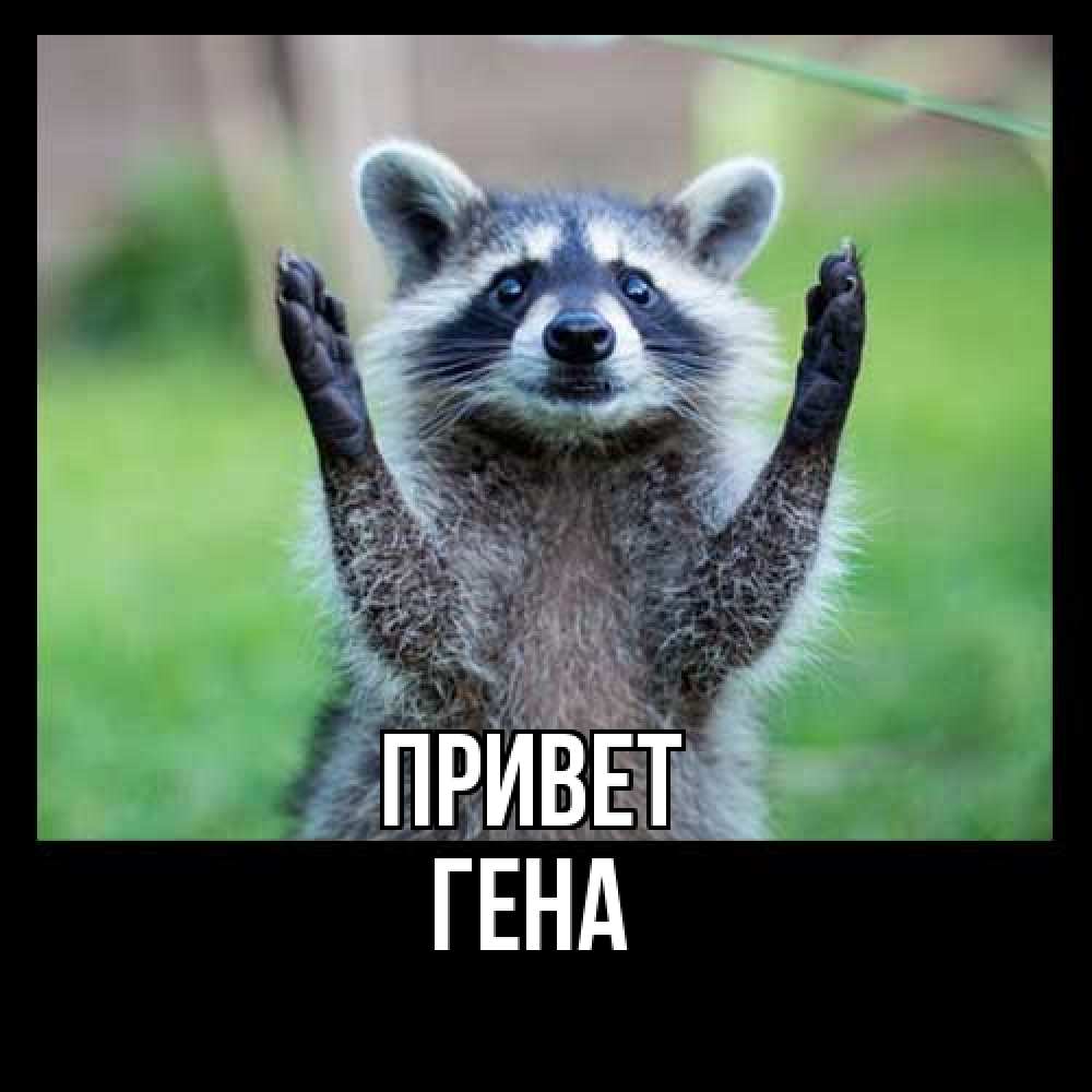 Открытка на каждый день с именем, Гена Привет животные Прикольная открытка с пожеланием онлайн скачать бесплатно 