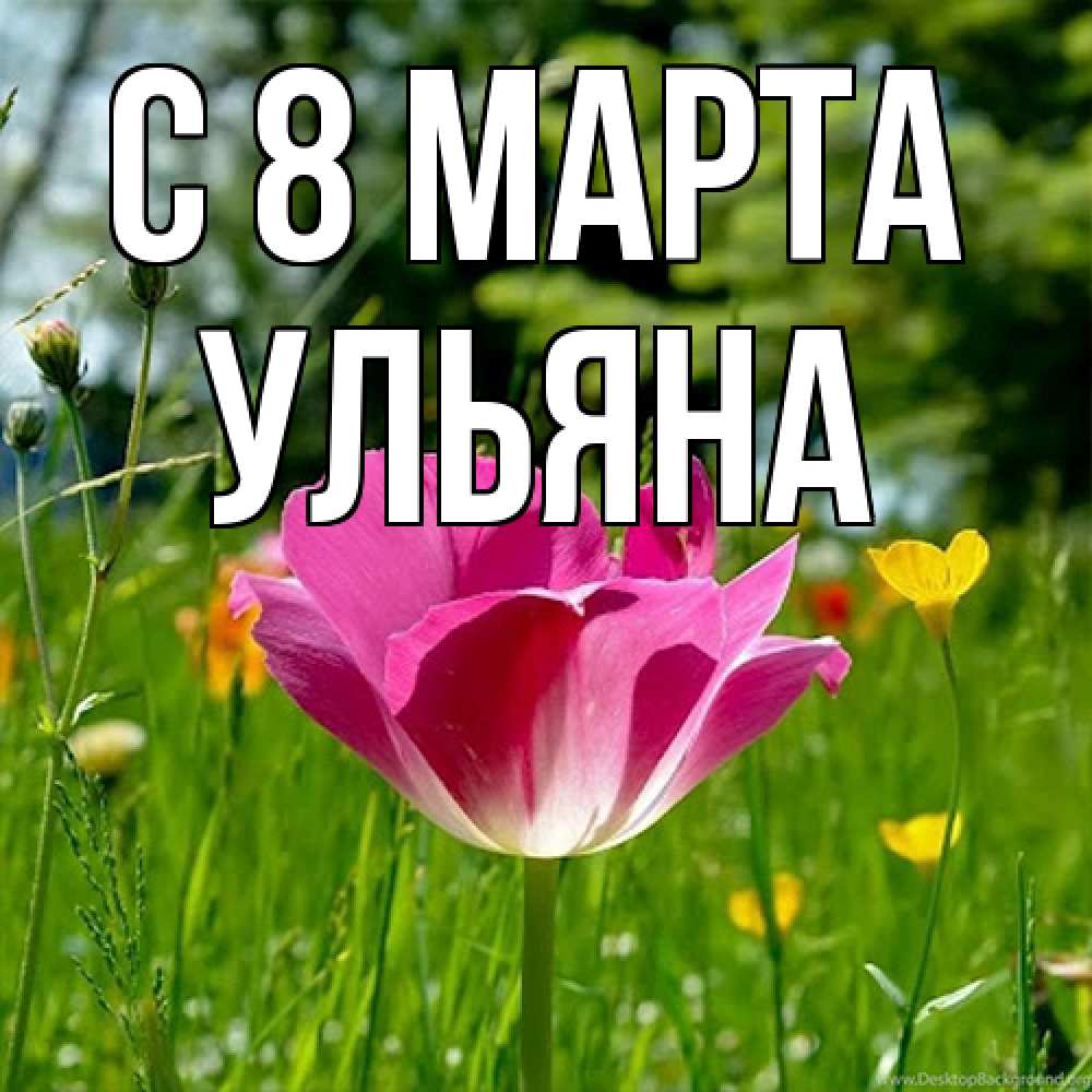 Открытка на каждый день с именем, Ульяна C 8 МАРТА полевые цветы Прикольная открытка с пожеланием онлайн скачать бесплатно 
