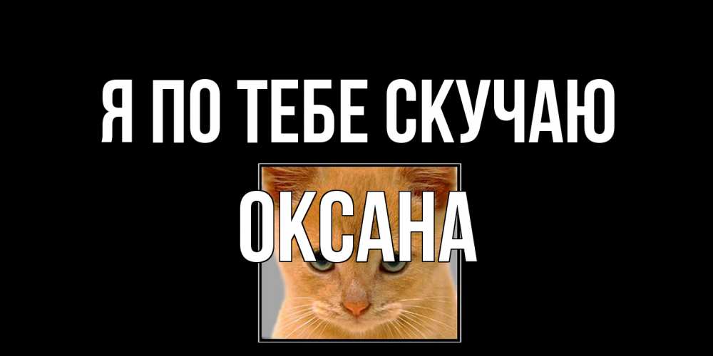 Открытка на каждый день с именем, оксана Я по тебе скучаю открытки рыжий котенок скучает по тебе Прикольная открытка с пожеланием онлайн скачать бесплатно 
