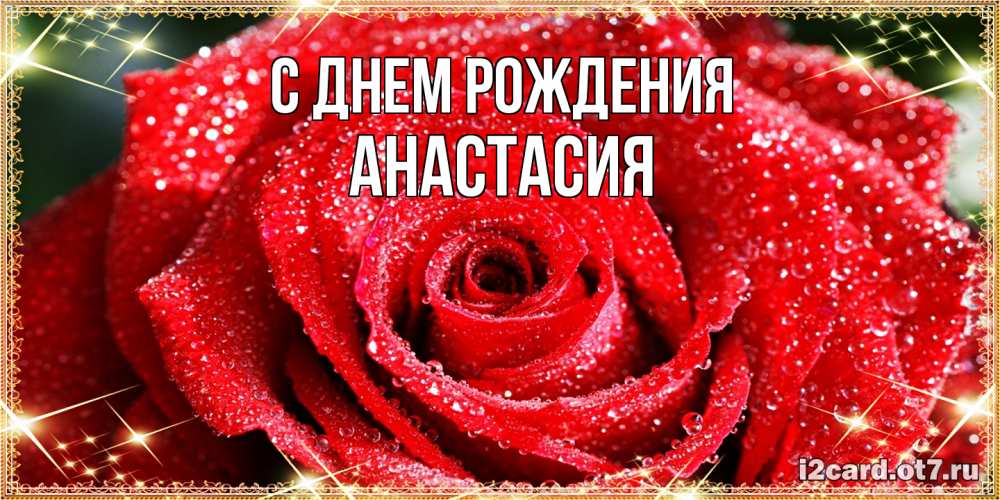Открытка на каждый день с именем, Анастасия С днем рождения роса и роза. открытка с красивой розой Прикольная открытка с пожеланием онлайн скачать бесплатно 
