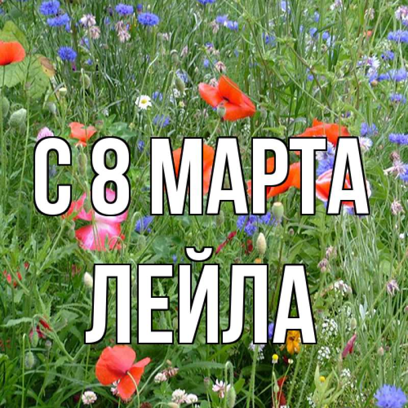 Картинка C 8 МАРТА, Лейла