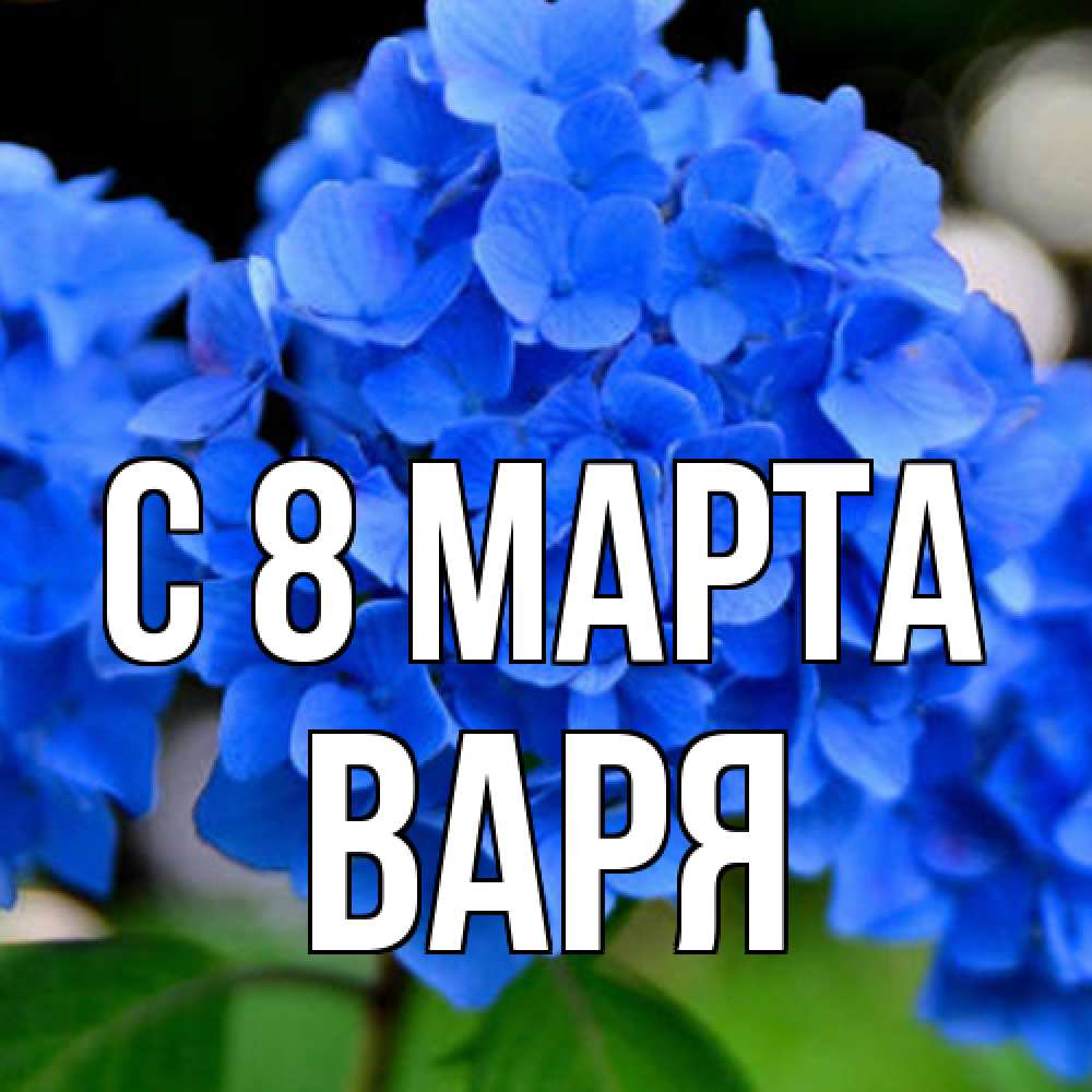 Открытка на каждый день с именем, Варя C 8 МАРТА синие цветы Прикольная открытка с пожеланием онлайн скачать бесплатно 