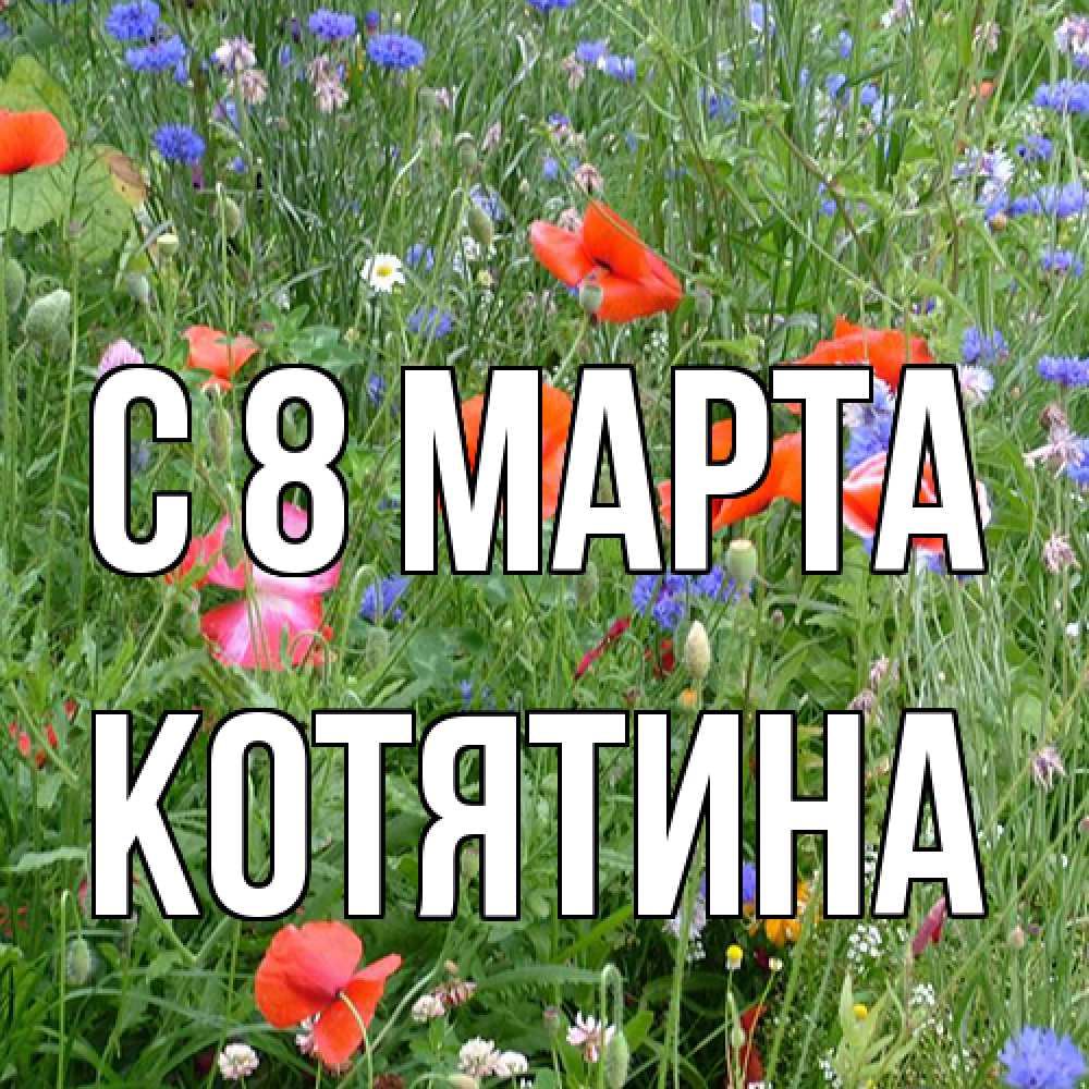 Открытка на каждый день с именем, Котятина C 8 МАРТА международный женский день 4 Прикольная открытка с пожеланием онлайн скачать бесплатно 